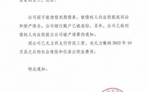凯发精英体育官网地址国是直通车：促消费迎新招 平台企业真金白银释放“平台效应”